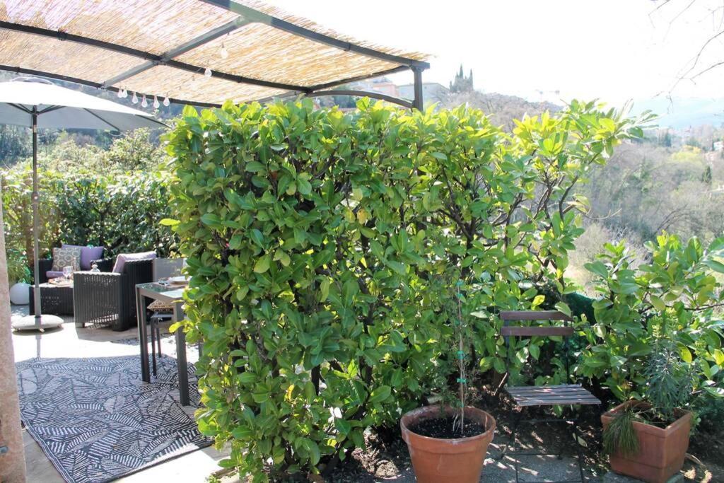 Charmant 2 Pieces + Terrasse Entoure De Verdure Vence Kültér fotó
